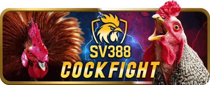 Thưởng Đăng Ký Mới viva88